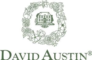 David Austin® Roses