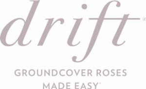 Drift® Roses