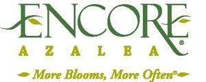 Encore® Azalea Encore® Azalea